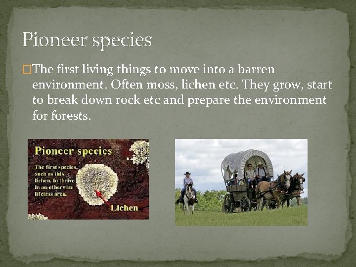 Pioneer species �The first living things to move into a barren environment. Often moss,