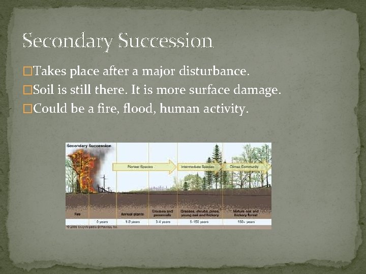 Secondary Succession �Takes place after a major disturbance. �Soil is still there. It is