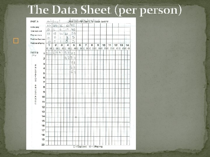The Data Sheet (per person) � 