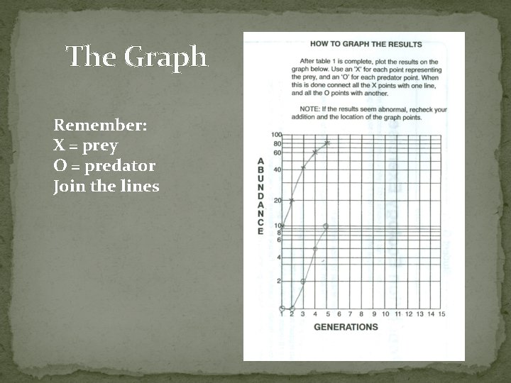 The Graph Remember: X = prey O = predator Join the lines 