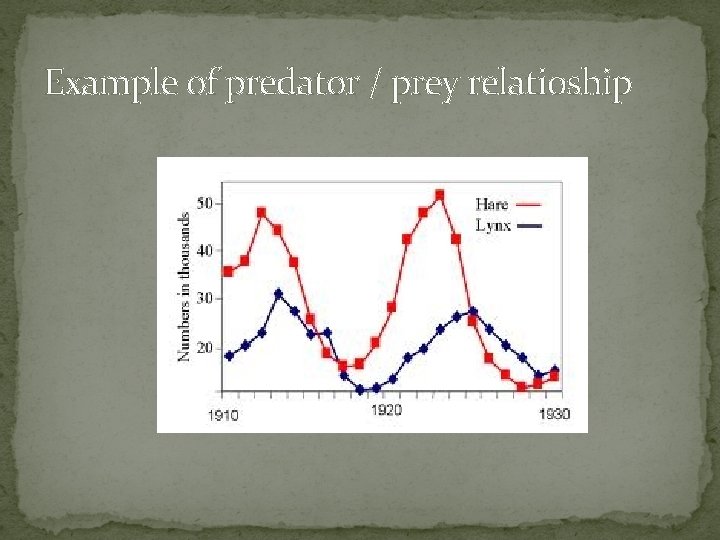 Example of predator / prey relatioship 