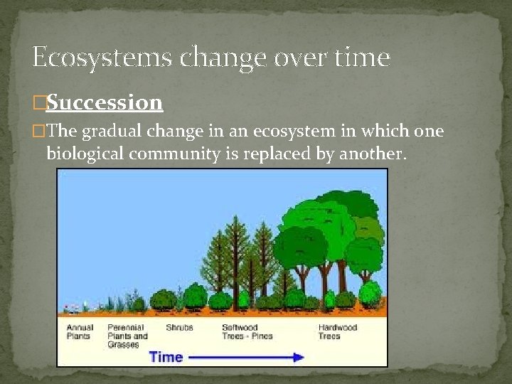 Ecosystems change over time �Succession �The gradual change in an ecosystem in which one