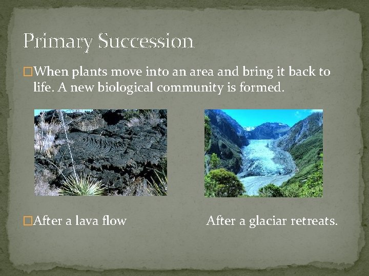 Primary Succession �When plants move into an area and bring it back to life.