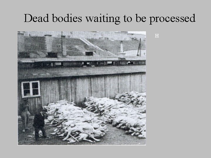 Dead bodies waiting to be processed H 