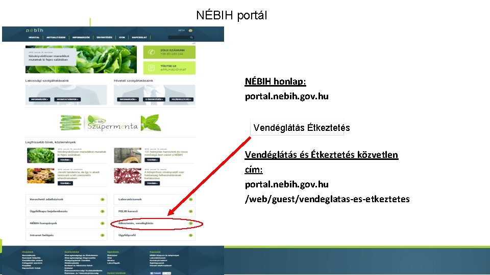 NÉBIH portál NÉBIH honlap: portal. nebih. gov. hu Vendéglátás Étkeztetés Vendéglátás és Étkeztetés közvetlen