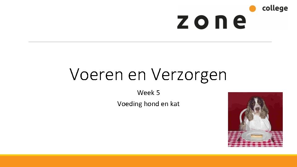Voeren en Verzorgen Week 5 Voeding hond en kat 