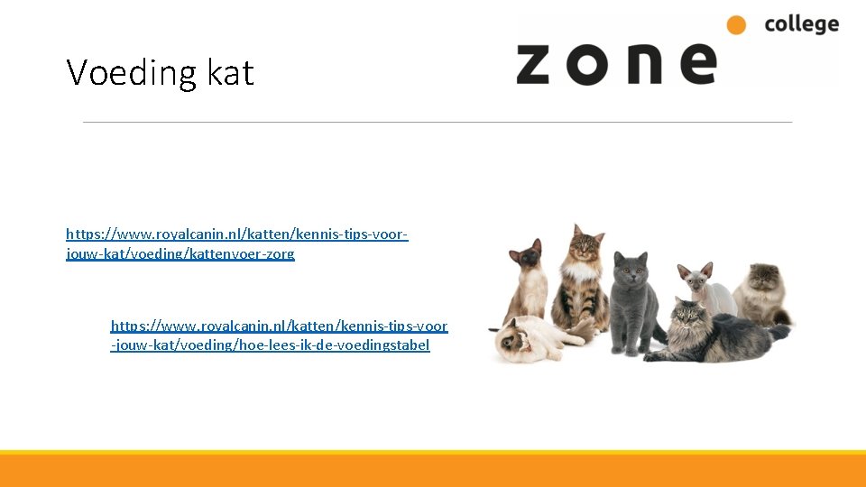 Voeding kat https: //www. royalcanin. nl/katten/kennis-tips-voorjouw-kat/voeding/kattenvoer-zorg https: //www. royalcanin. nl/katten/kennis-tips-voor -jouw-kat/voeding/hoe-lees-ik-de-voedingstabel 