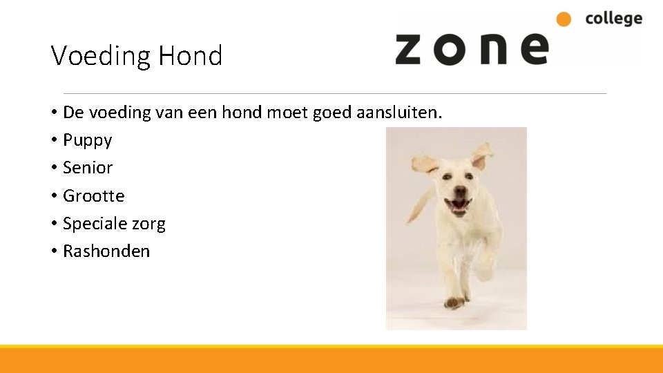 Voeding Hond • De voeding van een hond moet goed aansluiten. • Puppy •