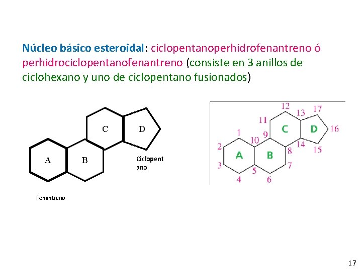 Núcleo básico esteroidal: ciclopentanoperhidrofenantreno ó perhidrociclopentanofenantreno (consiste en 3 anillos de ciclohexano y uno