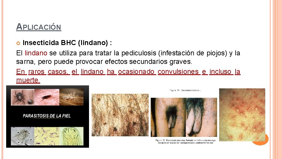 APLICACIÓN Insecticida BHC (lindano) : El lindano se utiliza para tratar la pediculosis (infestación
