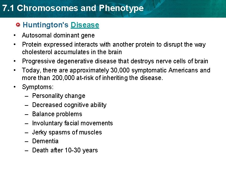 7. 1 Chromosomes and Phenotype Huntington's Disease • Autosomal dominant gene • Protein expressed