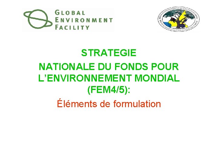 STRATEGIE NATIONALE DU FONDS POUR L’ENVIRONNEMENT MONDIAL (FEM 4/5): Éléments de formulation 