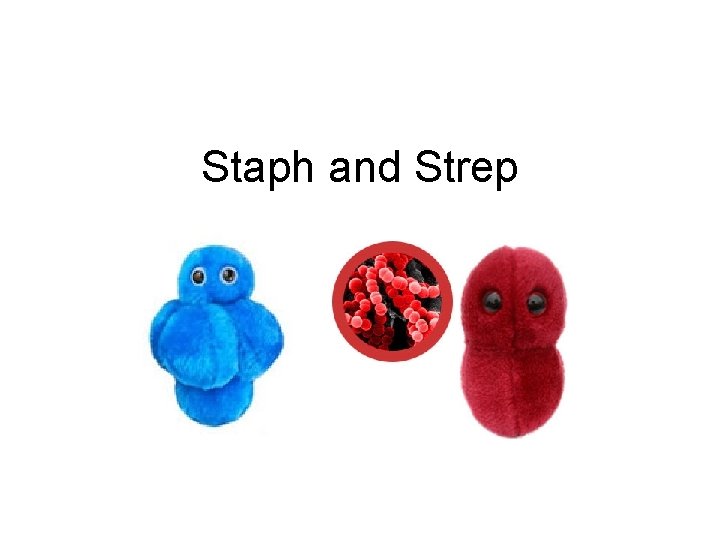 Staph and Strep 