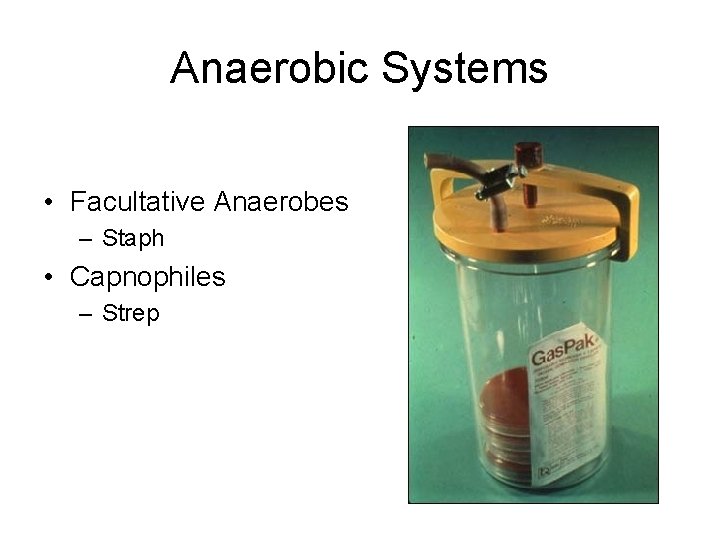 Anaerobic Systems • Facultative Anaerobes – Staph • Capnophiles – Strep 