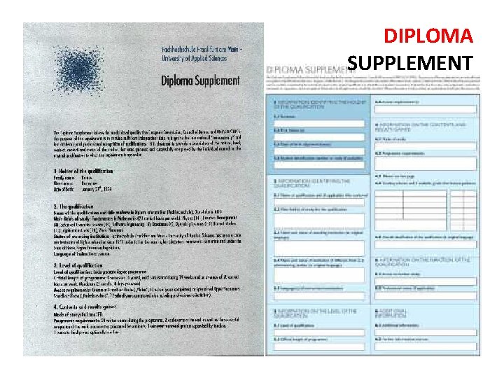 DIPLOMA SUPPLEMENT 