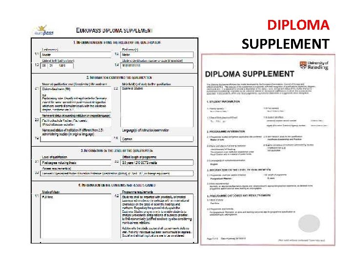 DIPLOMA SUPPLEMENT 