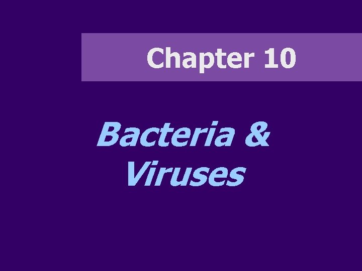 Chapter 10 Bacteria & Viruses 