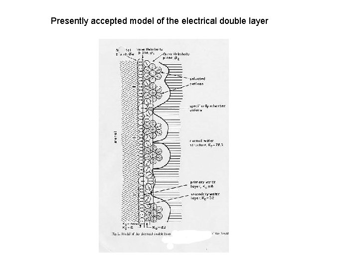 Presently accepted model of the electrical double layer 