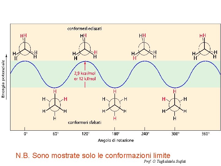 N. B. Sono mostrate solo le conformazioni limite Prof. O. Taglialatela Scafati 