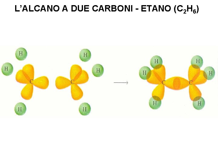 L’ALCANO A DUE CARBONI - ETANO (C 2 H 6) 