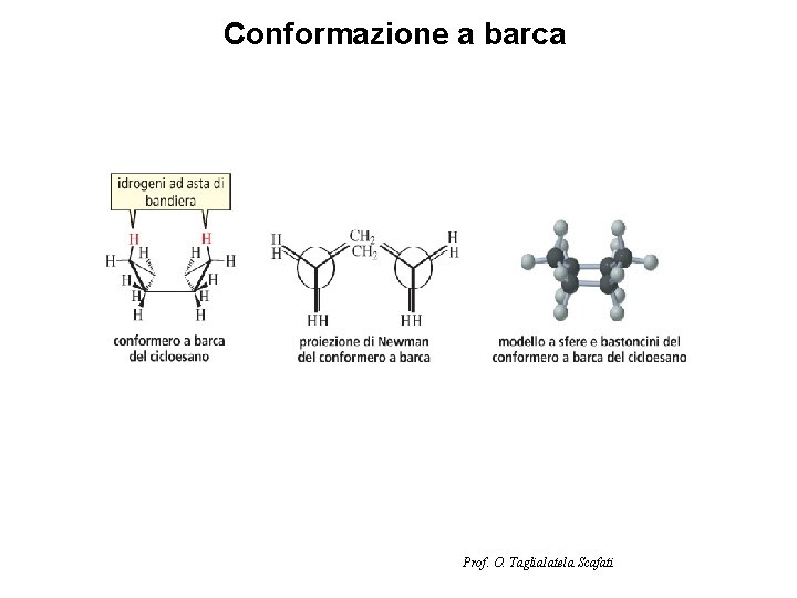 Conformazione a barca Prof. O. Taglialatela Scafati 