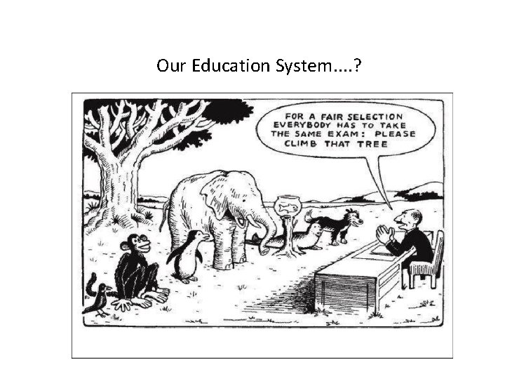 Our Education System. . ? 