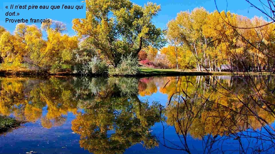  « Il n’est pire eau que l’eau qui dort. » Proverbe français 