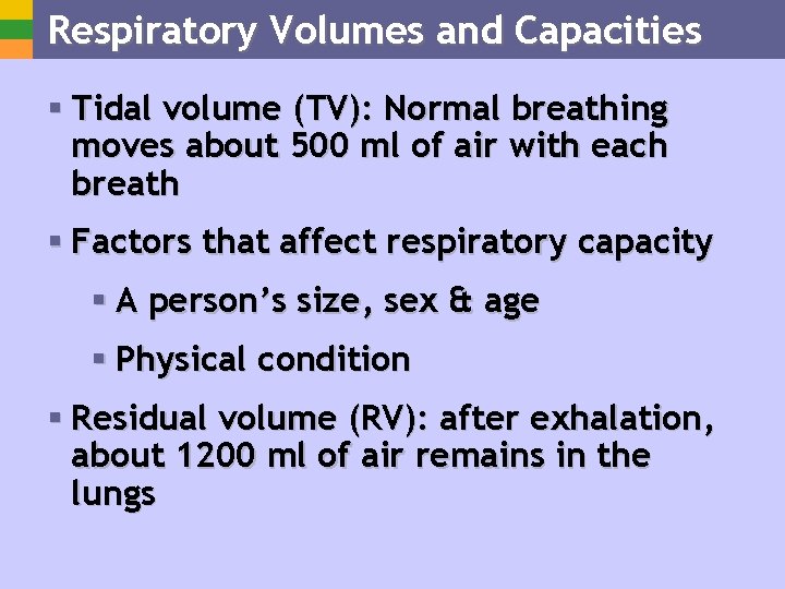 Respiratory Volumes and Capacities § Tidal volume (TV): Normal breathing moves about 500 ml