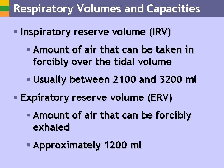 Respiratory Volumes and Capacities § Inspiratory reserve volume (IRV) § Amount of air that