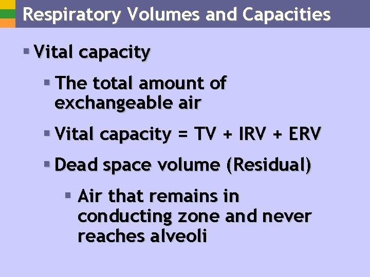 Respiratory Volumes and Capacities § Vital capacity § The total amount of exchangeable air