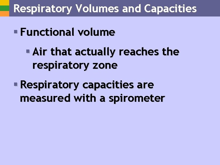 Respiratory Volumes and Capacities § Functional volume § Air that actually reaches the respiratory
