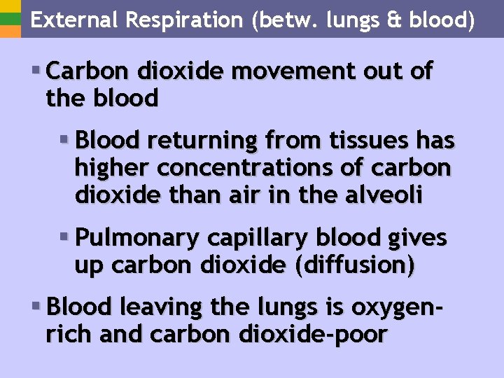External Respiration (betw. lungs & blood) § Carbon dioxide movement out of the blood