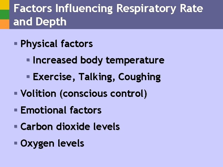 Factors Influencing Respiratory Rate and Depth § Physical factors § Increased body temperature §