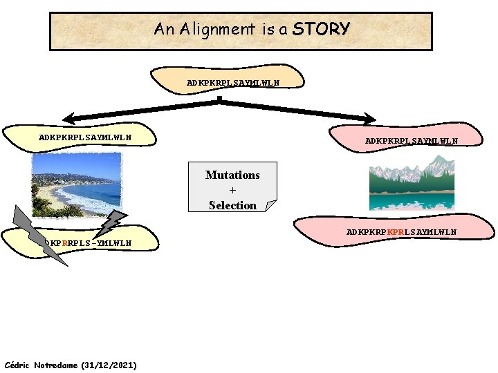 An Alignment is a STORY ADKPKRPLSAYMLWLN Mutations + Selection ADKPKRPKPRLSAYMLWLN ADKPRRPLS-YMLWLN Cédric Notredame (31/12/2021)