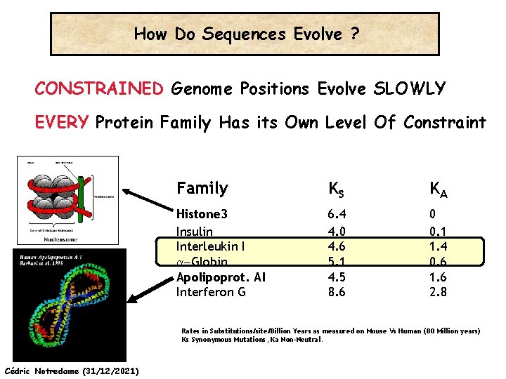 How Do Sequences Evolve ? CONSTRAINED Genome Positions Evolve SLOWLY EVERY Protein Family Has