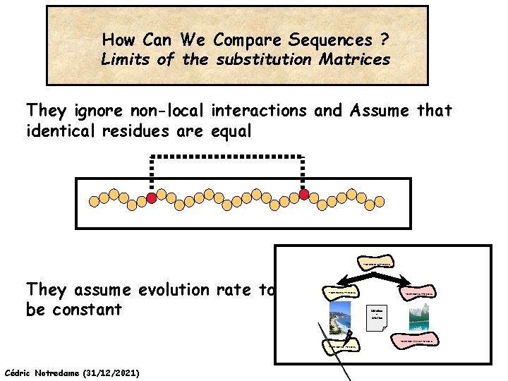 How Can We Compare Sequences ? Limits of the substitution Matrices They ignore non-local