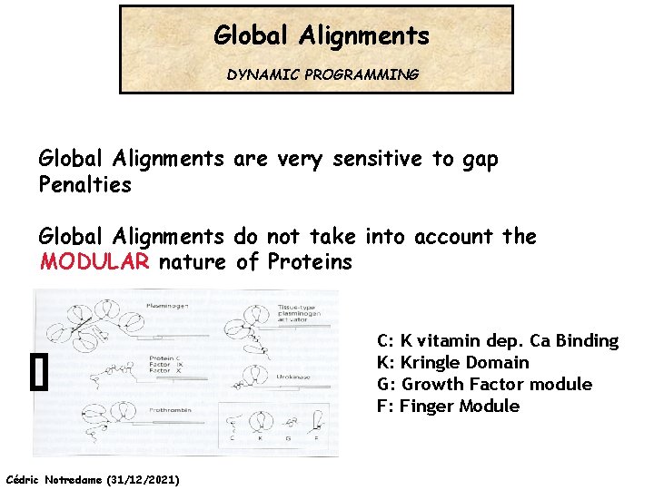 Global Alignments DYNAMIC PROGRAMMING Global Alignments are very sensitive to gap Penalties Global Alignments