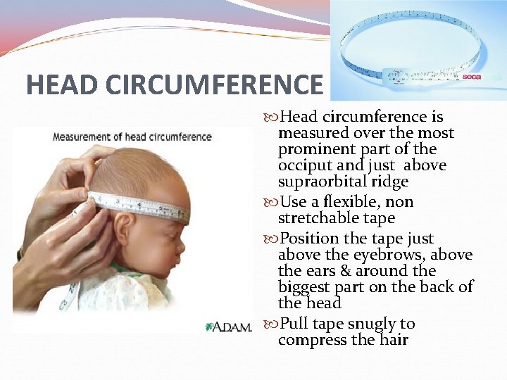 HEAD CIRCUMFERENCE Head circumference is measured over the most prominent part of the occiput