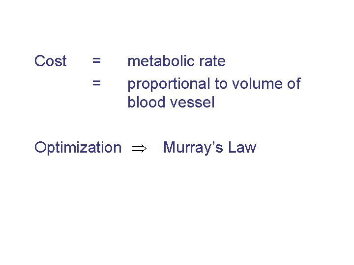 Cost = = metabolic rate proportional to volume of blood vessel Optimization Murray’s Law