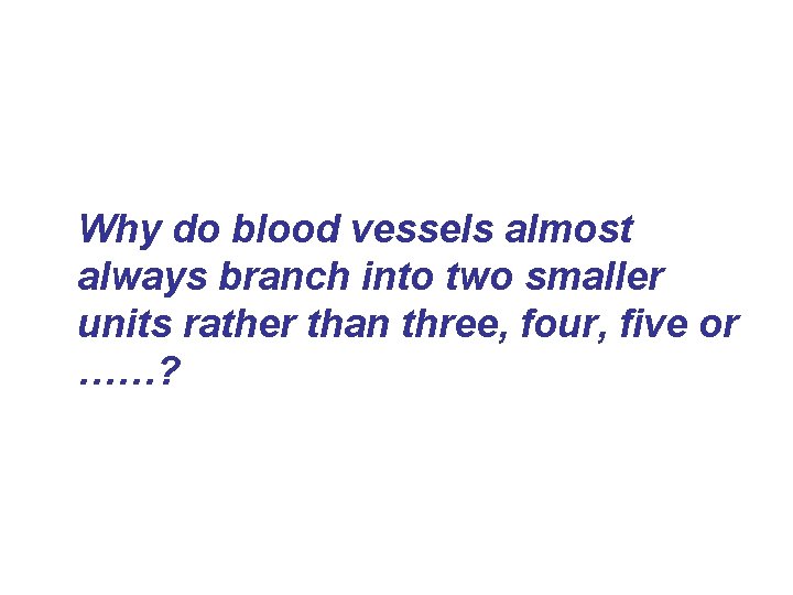 Why do blood vessels almost always branch into two smaller units rather than three,