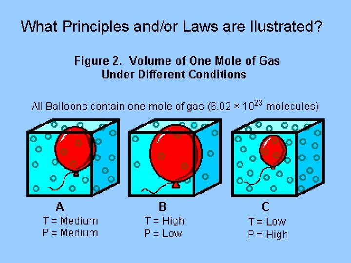 What Principles and/or Laws are Ilustrated? 