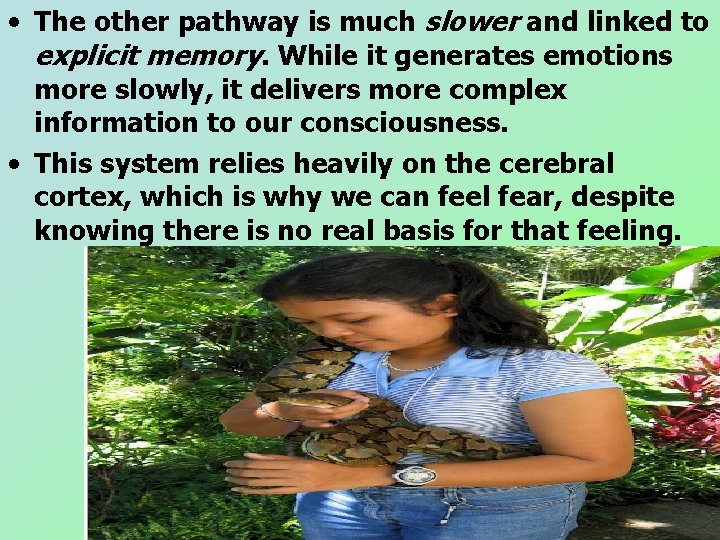 • The other pathway is much slower and linked to explicit memory. While • The other pathway is much slower and linked to explicit memory. While