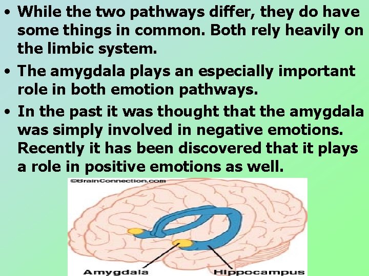• While the two pathways differ, they do have some things in common. • While the two pathways differ, they do have some things in common.