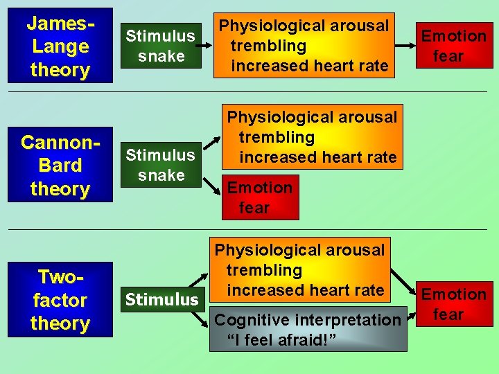 James. Lange theory Cannon. Bard theory Twofactor theory Stimulus snake Stimulus Physiological arousal trembling James. Lange theory Cannon. Bard theory Twofactor theory Stimulus snake Stimulus Physiological arousal trembling