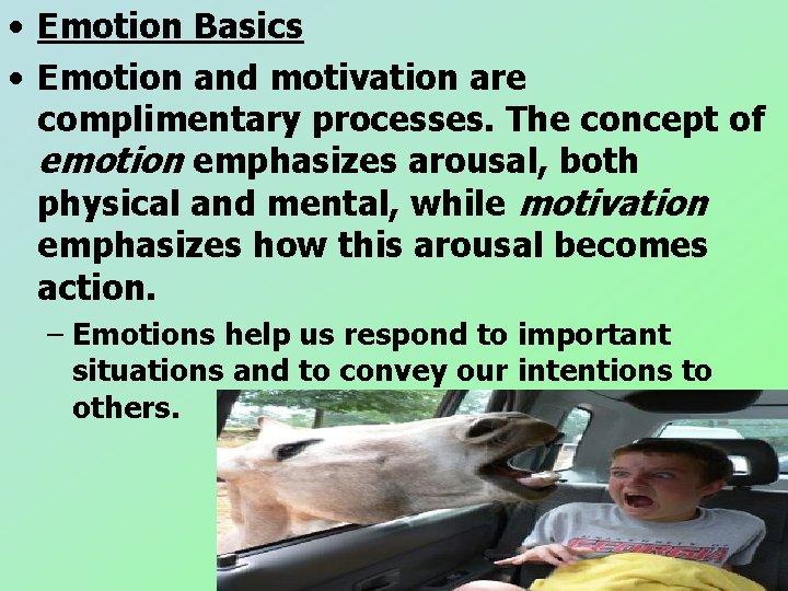 • Emotion Basics • Emotion and motivation are complimentary processes. The concept of • Emotion Basics • Emotion and motivation are complimentary processes. The concept of