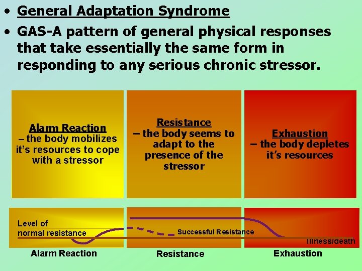 • General Adaptation Syndrome • GAS-A pattern of general physical responses that take • General Adaptation Syndrome • GAS-A pattern of general physical responses that take