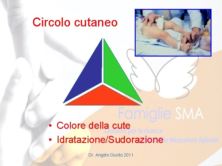 Circolo cutaneo • Colore della cute • Idratazione/Sudorazione Dr. Angelo Giusto 2011 