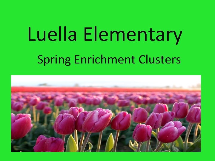 Luella Elementary Spring Enrichment Clusters 