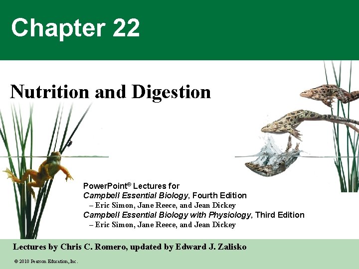 Chapter 22 Nutrition and Digestion Power Point Lectures