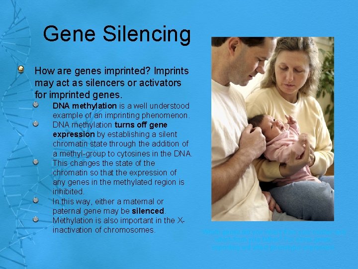 Gene Silencing How are genes imprinted? Imprints may act as silencers or activators for